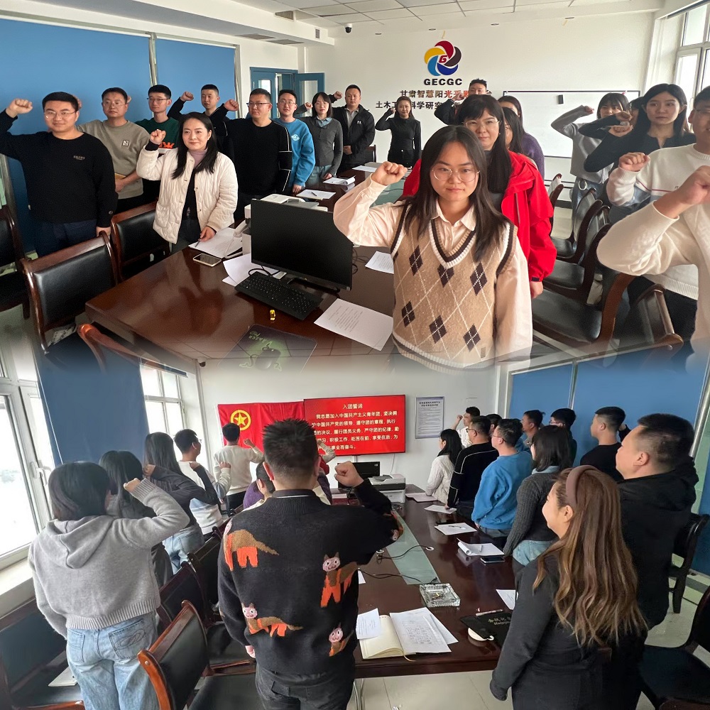 青春心向黨 建功新時(shí)代│公司團(tuán)委召開團(tuán)員和青年主題教育專題組織生活會(huì)